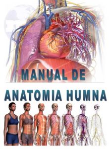 manual de anatomía